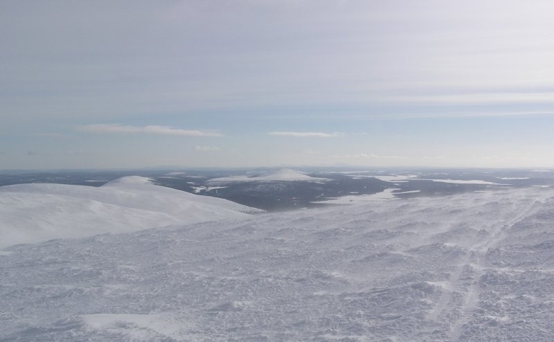 Click for the original image